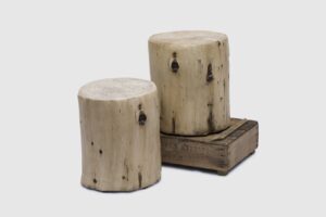 Ashburn Stumps