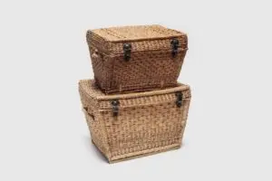 Edgemoor Rattan Trunk
